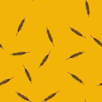 Pattern grain rye sketch hand drawn Stock Illustration