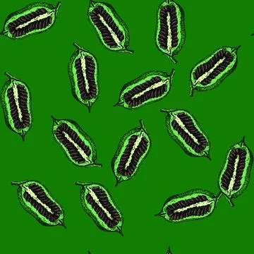 Pattern grain sesame seed sketch hand drawn Stock Illustration