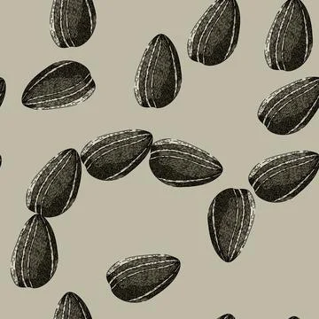 Pattern grain sunflower seed sketch hand drawn 스톡 일러스트