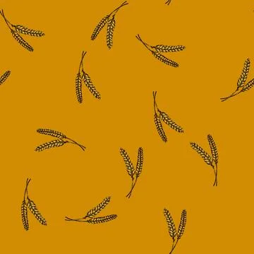 Pattern grain wheat sketch hand drawn Stock Illustration