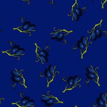 Pattern grape bunch blue food sketch hand drawn イラスト素材
