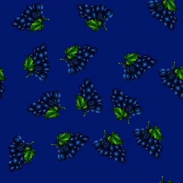 Pattern grape bunch blue sketch hand drawn Stock Illustration