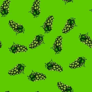 Pattern grape bunch green sketch hand drawn Stock Illustration