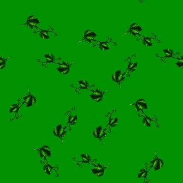 Pattern grape vine leaf sketch hand drawn Illustrazione stock