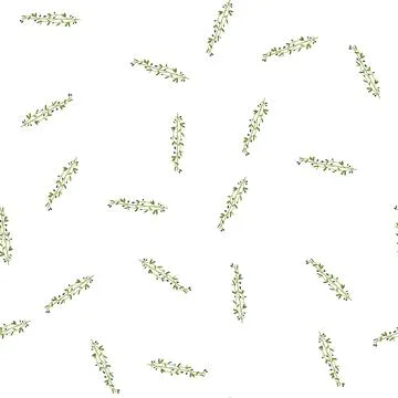Pattern graphic olive border divider cartoon vector Stock Illustration