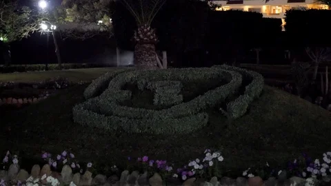 Pattern on the Grass Stock Footage 86943024