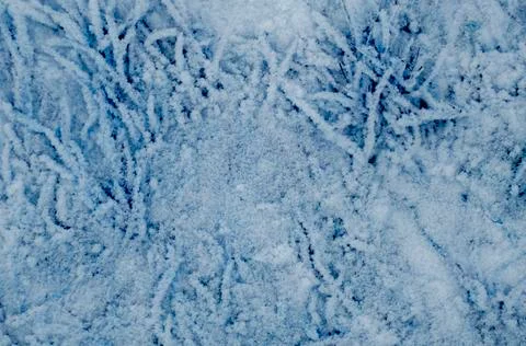 The pattern of the grass with the snow Stock Photos