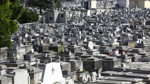 Pattern of graves, final resting place of local Cubans cemetery Havana Stock Footage 78436351