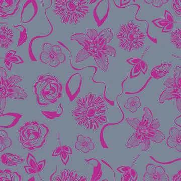 Pattern, on a gray background bright pink flowers, cosmos, vector illustratio Stock Illustration