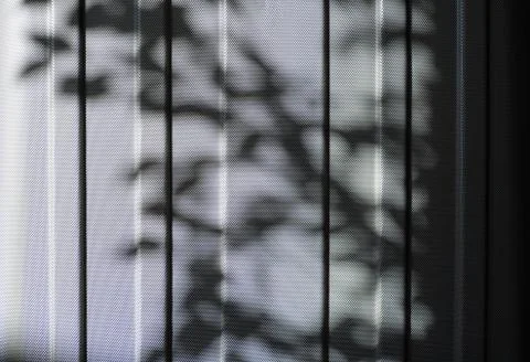 Pattern of gray diamonds and shadows from branches, background, plastic macro Stock Photos