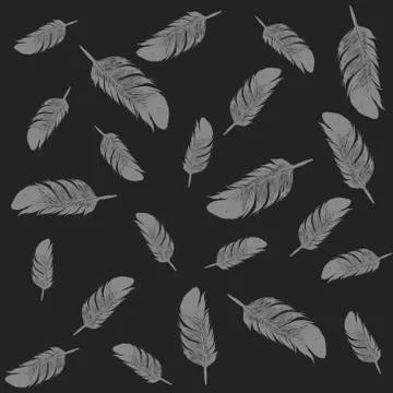 Pattern with gray feathers on black background. Illustrazione stock