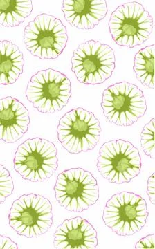 A pattern with green and pink flowers on it. Thysanocarpus radians Stock Illustration