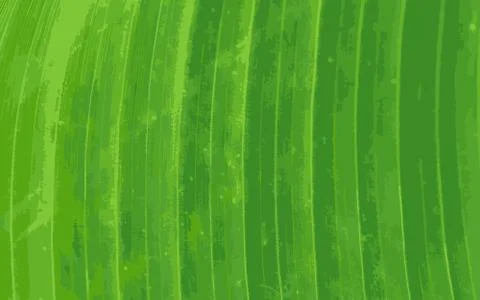 Pattern of green banana leaf background Stock Illustration