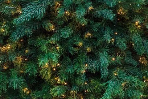 Pattern with green branches with pine illuminated garlands lights, soft focus Stock Photos