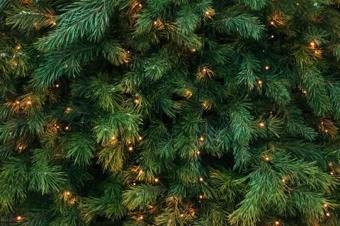Pattern with green branches with pine illuminated garlands lights, soft focus Stock-Fotos
