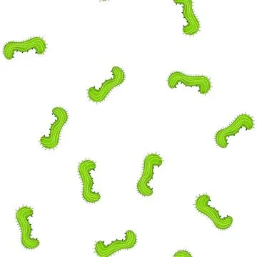Pattern green caterpillar body with spikes and stripes Stock Illustration
