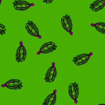 Pattern green chard sketch hand drawn Stock Illustration