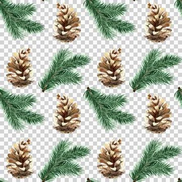 Pattern of green fir branches and pine cones watercolor Stock Illustration