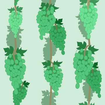 Pattern with green grapes. Background with vines on a green background. Sea.. Stock Illustration