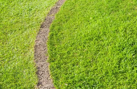 Pattern of green grass Stock Photos