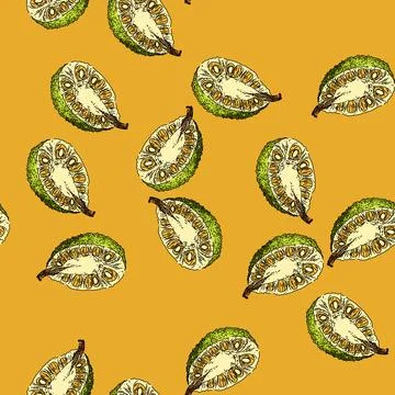 Pattern green jackfruit sketch hand drawn 스톡 일러스트