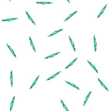 Pattern Green kayak equipment for summer water sports activity Stock Illustration