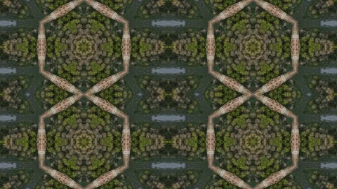 Pattern of green leaves and branches with a blue sky in the background Stock Footage 321390140