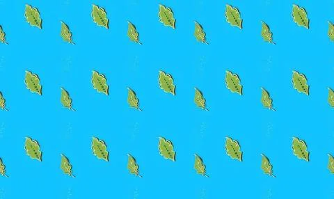 Pattern of green leaves on bright blue background Stock Illustration