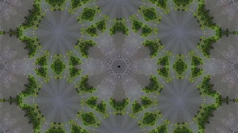 Pattern of green leaves is shown in a circular shape Stock Footage 321390325