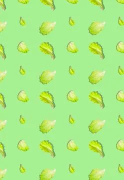 A pattern with green lettuce leaves on a light green background. Grocery back Foto stock