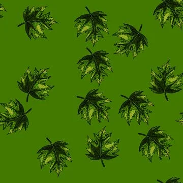 Pattern green maple leaf sketch hand drawn Stock Illustration