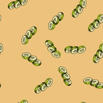 Pattern green marrow vegetable sketch hand drawn Stock Illustration