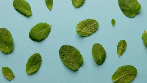 Pattern of green mint leaves on a blue background Foto stock