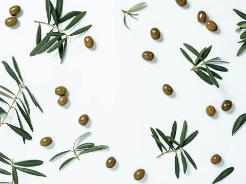 Pattern with green olive and branches 스톡 사진