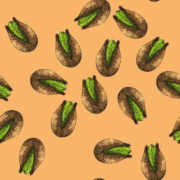 Pattern green pistachio nut sketch hand drawn Stock Illustration