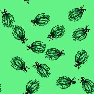 Pattern green sage sketch hand drawn Stock Illustration