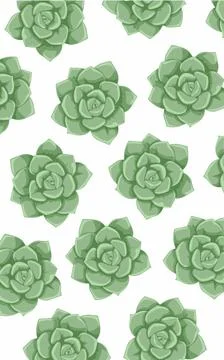 A pattern with green succulents on it. Nature pattern Stock Illustration