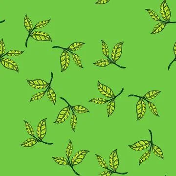 Pattern green tea leaf sketch hand drawn イラスト素材