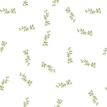 Pattern greenery olive border divider cartoon vector Stockillustratie