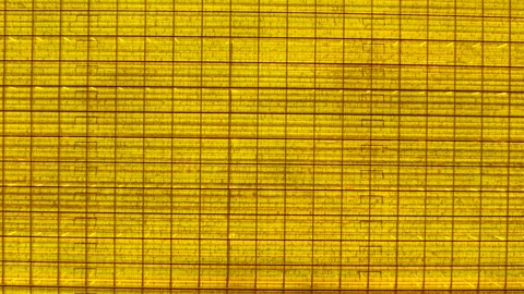 Pattern of Greenhouse rooftop glowing at night aerial view. Industrial growing Stock Footage 183189926