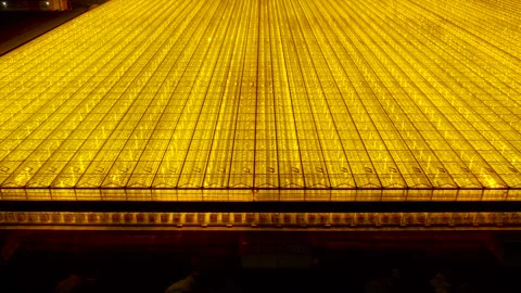 Pattern of Greenhouse rooftop glowing at night aerial view. Industrial growing Stock Footage 183512444