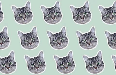 Pattern of grey cat faces, with white contour on pastel beige background.  Foto stock