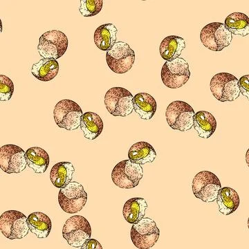 Pattern half broken egg sketch hand drawn 스톡 일러스트