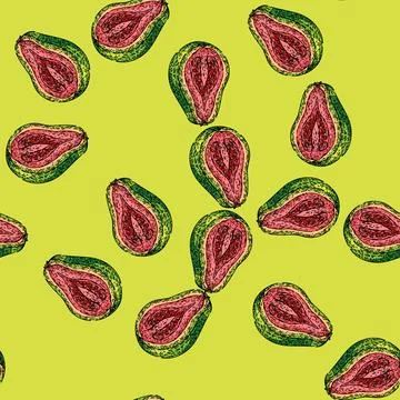 Pattern half guava fruit sketch hand drawn Stock Illustration