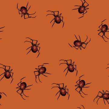 Pattern halloween spider sketch hand drawn Stock Illustration