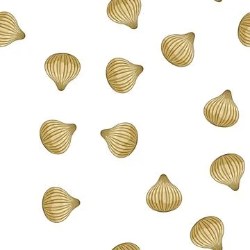 Pattern Hand drawn fresh garlic bulb on white Stock Illustration