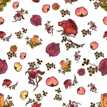 Pattern of hand drawn watercolour dried roses,dry plants,Boho style,autumn 스톡 일러스트