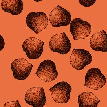 Pattern hazelnut nut brown sketch hand drawn 스톡 일러스트