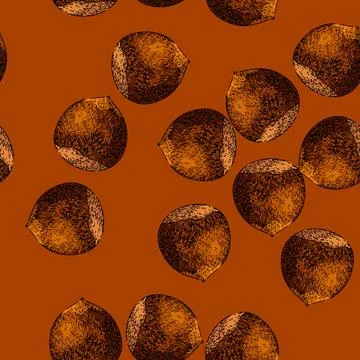 Pattern hazelnut nut food sketch hand drawn 스톡 일러스트