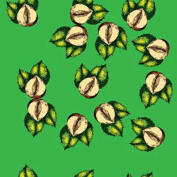 Pattern hazelnut nut leaf sketch hand drawn 스톡 일러스트